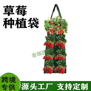�羳Դ�^���S��ݮ�Nֲ���Ғ�ʽֲ�����L�������ֱ���wֲ�����L��