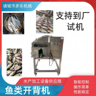 鱼类自动开背机 连续式草鱼鲈鱼开背分片机 水产加工厂鱼开背机器