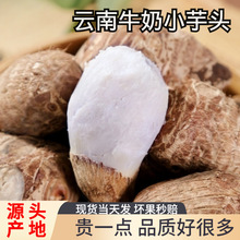 �r�����ţ��С���^���r�߲˷�Ŵ�të���^�����󮔼���ܵ����ܛŴ