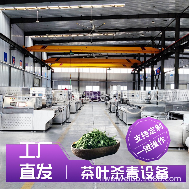 立威苦丁茶杀青生产线 隧道式茶叶杀青设备 大型商用微波杀青机
