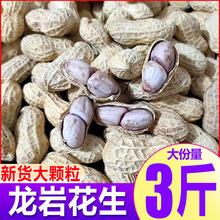 福建龙岩花生带壳蒜香咸干五香原味盐水白晒水煮花生米熟炒货零食