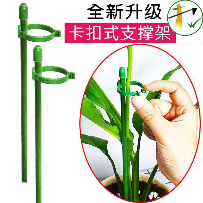蝴蝶兰支架兰花植物固定杆支撑杆扶直玻纤支架爬藤植物固定杆子