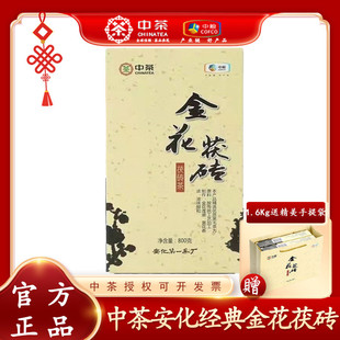 �в����ľ�} ���ϰ����ڲ� ����u�в轛��Ϳ̰����u800g