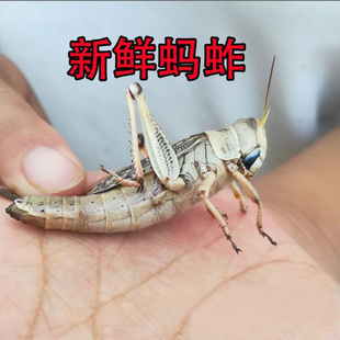 ���r�ك�Λ�ƻ��x�����ʳ�ñ������ѹ�ĸ���ȥ����خa���]����