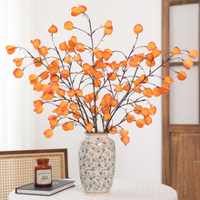 滨c廨ܛb߿͏dbb\ٻ