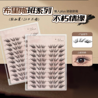 小薄片布里斯班不朽情缘假睫毛柔软初学者隐形新手单簇卷翘