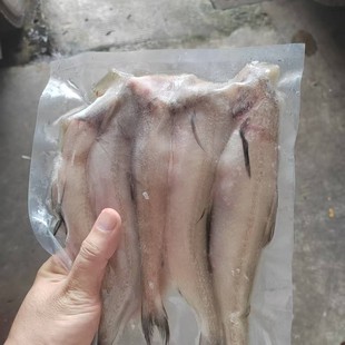 ����Ŷ��~���^�~�����~���r�Ŷ��~���r�����oʳʳ��