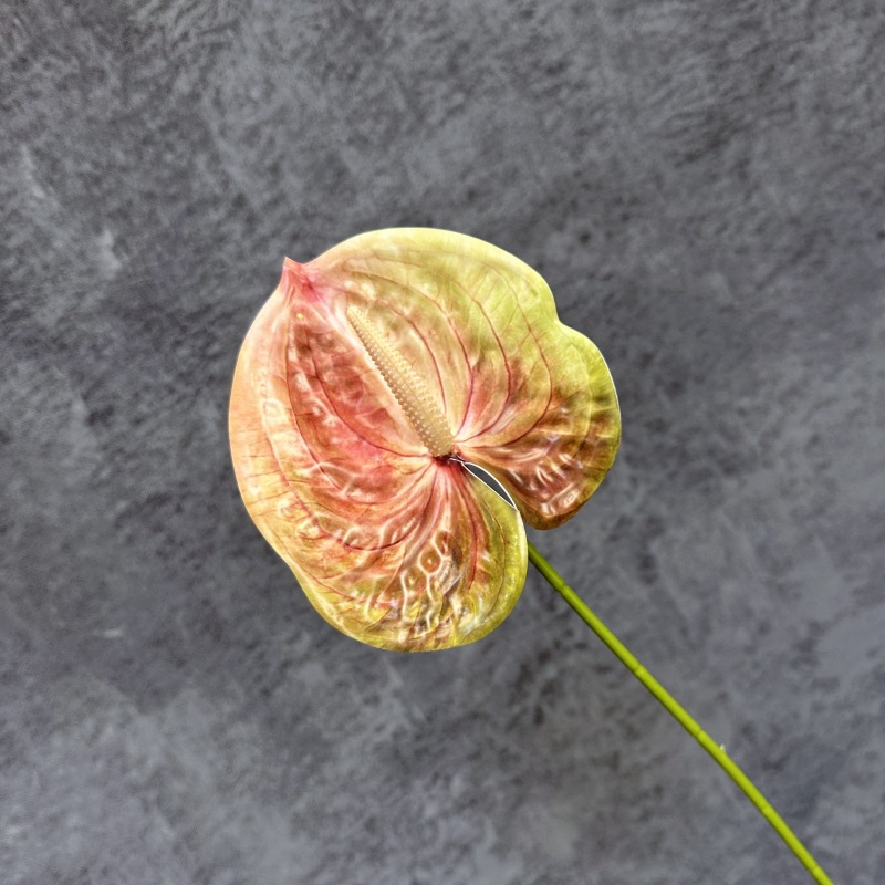 Decoración de Escenarios de Boda con Anturios Simulados, Decoración del Hogar, Accesorios de Fotografía, Adornos de Flores Artificiales en 3D para Venta al por Mayor