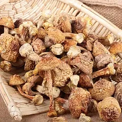 Agaricus blazei сухие товары 500 г сухие товары Юньнань специальность съедобный выбор Гриб шин Бразилия без копченой серы