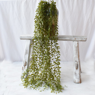 1����Gɫ�^�����ڒ�Gɫ���~�ݷ���ֲ����ˮ�������ڒ�