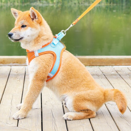 Cross-border pet supplies vest-style pet leash for cats and dogs, breathable reflective dog walking harness