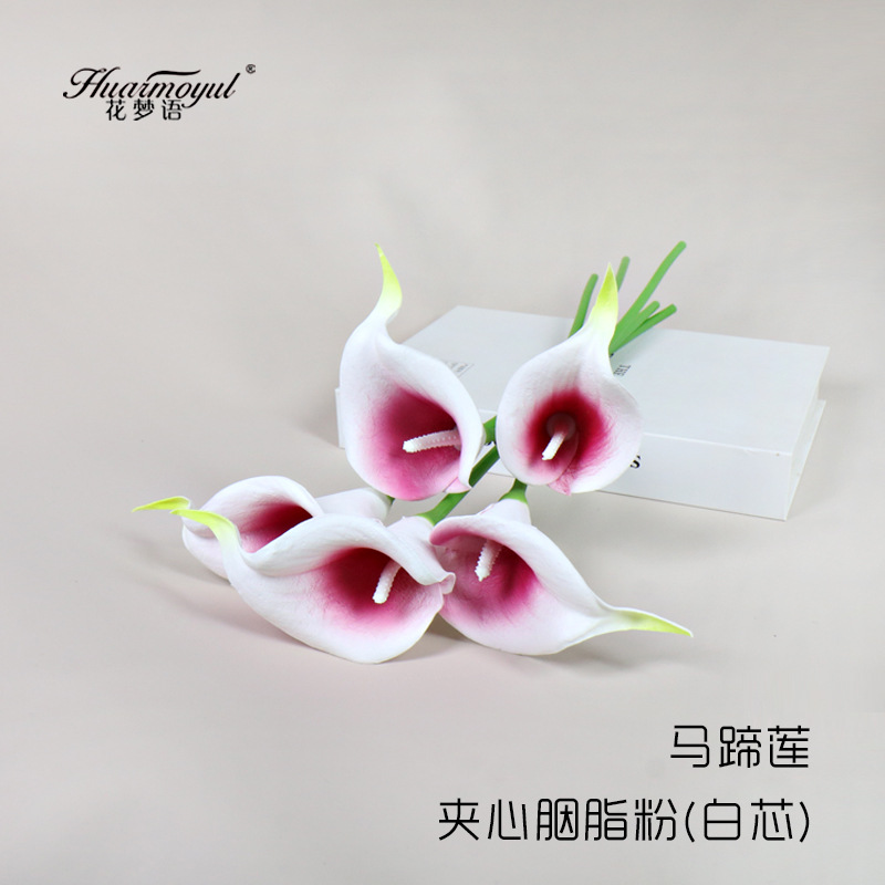 칼라 릴리 샌드위치 루즈 파우더 (화이트 코어)