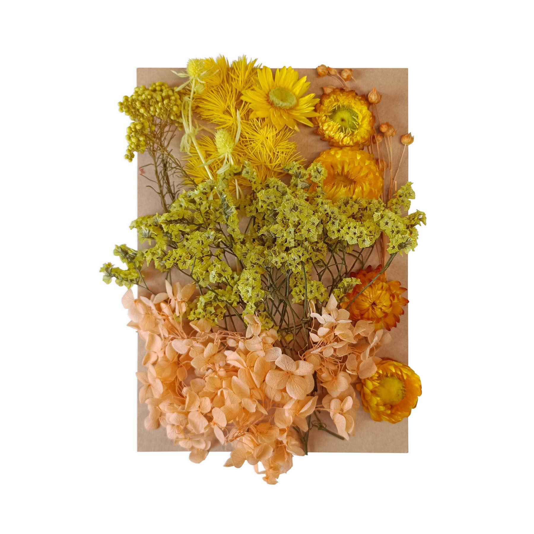 Flor seca flor eterna marco de fotos en relieve paquete de material combinación paquete de flores aromaterapia ventilador A5 bolsa de fábrica al por mayor transfronteriza