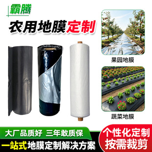 ���l�羳pe����Ĥ�Ӻ��Ĥ�r�ñ�Ĥ�L��poĤ���ر�������y�ڶ�ɫ