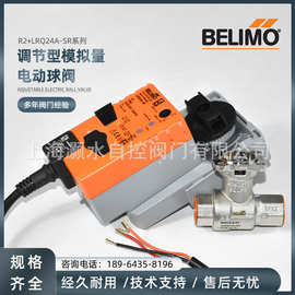 搏力谋模拟量调节电动球阀R2015-4-S1+LRQ24A-SR快速角行程执行器