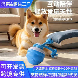 跨境新款充电式逗狗球智能逗狗狗玩具解闷发声自动滚滚电动神器