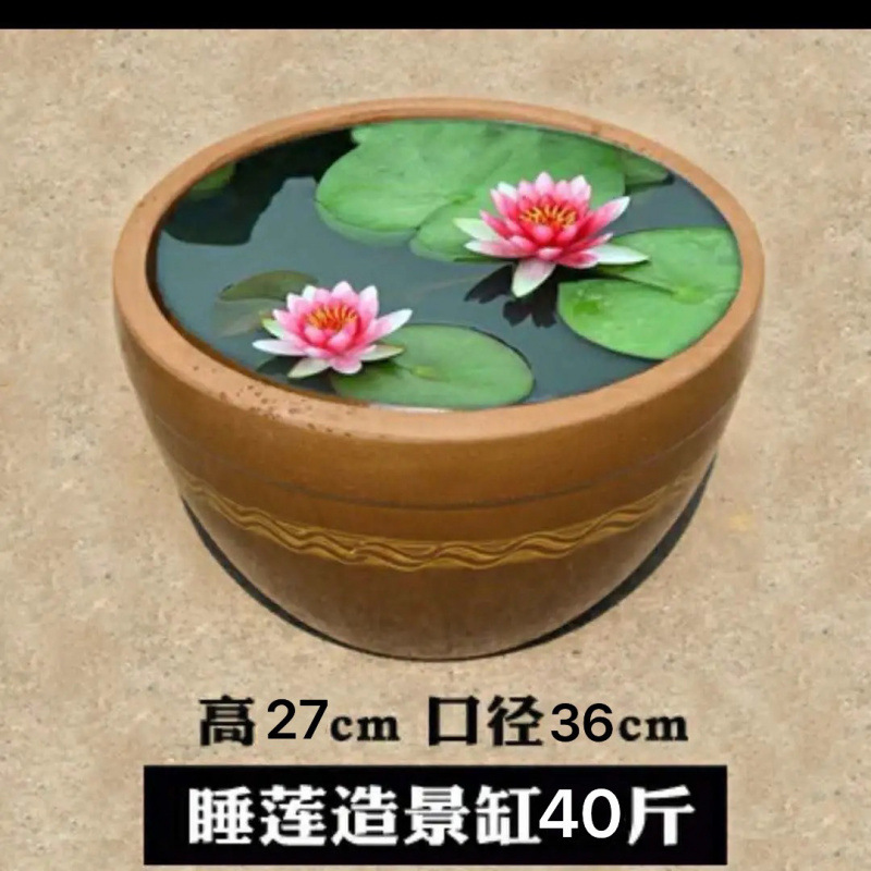 老式水缸米缸家用鱼缸睡莲荷花盆缸储水腌菜缸陶瓷瓦缸酱缸酸菜缸|undefined