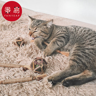 ���]/10Yľ��ޤ/��A135-؈��ĥ������؈���X���˽␞��