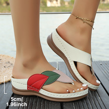 ���Q����¸�ƽ�����e�~����������ЬŮ��aƴɫ�r���~��Ь�F؛