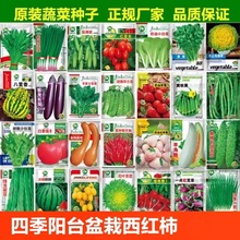 ߲˷NӴ~ļС[׷Nݴǫֲ̈̄