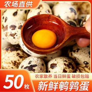 ���r�g����50ö�g������100ö�r���s�Zι�B�BС�B��50ö�����oʳ