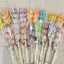 �����β�ݸɻ������������pɫ��β�Ͳ�DIY���ϰ���޹���Ͽ羳��