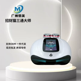 电子美容仪;美容导入仪;面罩美容仪