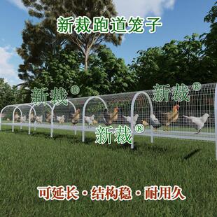 �ߵ��u�������\��B�u�\�ߵ��u�ܵ��\�ӑ����F�z�Wĸ�u�x��