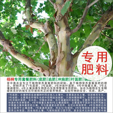 50���u�ЊW��ͩ��ͩ�䌣���ЙC�ʏͺϷʵ׷�׷�ʛ_ʩ���~���ˮ