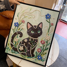 �ʼ����Сè����DIY������ʯ����Լͨ��ѹ����ϵװ�ιһ�С����