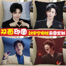 刘宇宁周边抱枕双面人形珠帘玉幕燕子京宁远舟同款娃娃玩偶枕头