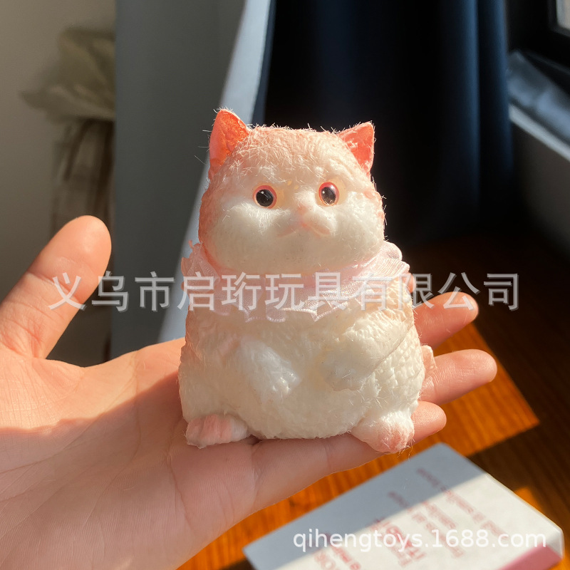 Super lindo gato gordo pellizco pellizco pelliz