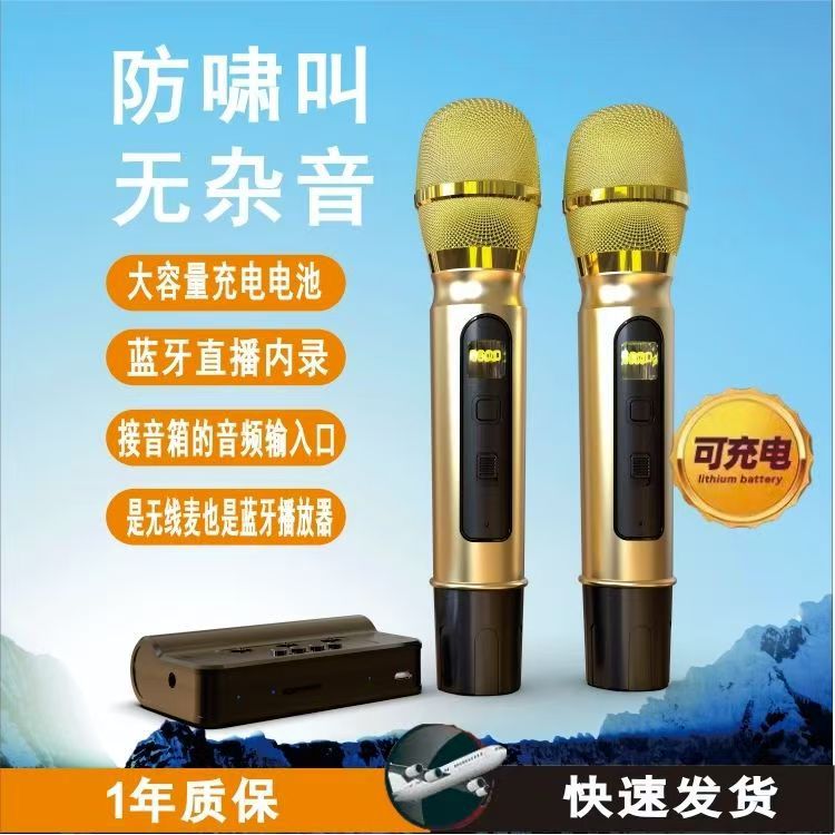 Home Entertainment Stage Performance Conference One-To-Two U-Section Microphone Live Broadcast Sound Card Car Wireless Karaoke Microphone