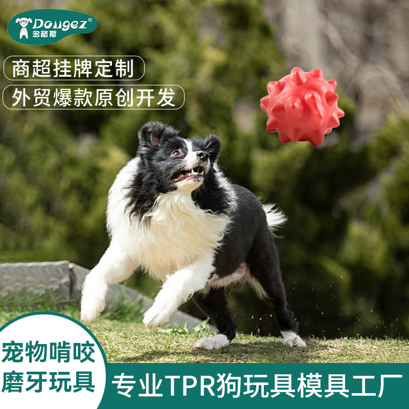 강아지 장난감 TPR 치아갈이용 강아지 씹는 공 투척 애완동물 훈련용 물에 뜨는 플라잉 디스크 인기 강아지 용품 도그스 동물용품