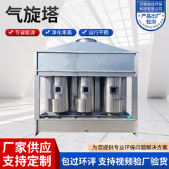 工場現物ステンレスサイクロン塔シャワー塔排ガス処理設備エア混合流空気浄化系