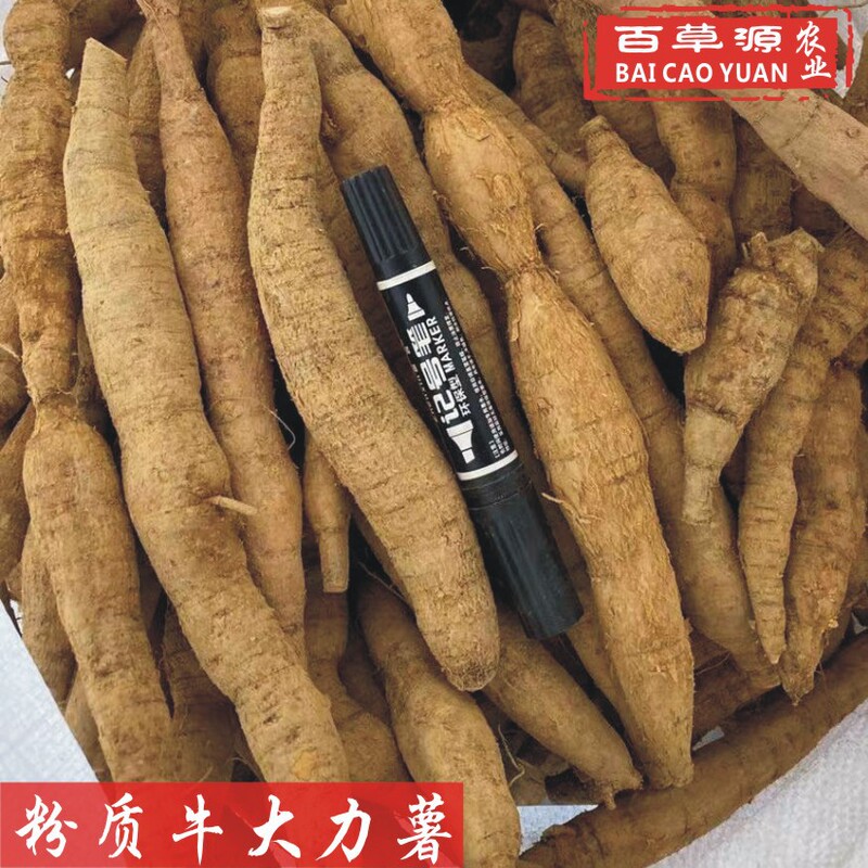 Baicaoyuan Fresh Beef Dali Potato Fresh Goods Powdered Potato 500g Admiralty Root Chinese Medicinal Material Daye Authentic Beef Dali Baicaoyuan Fresh Beef Dali Potato Fresh Goods Powdered Potato 500g Admiralty Root Chinese Medicinal Material Daye Authentic Beef Dali