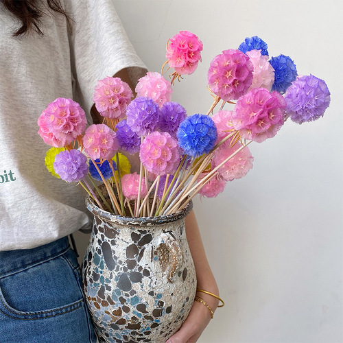 Perennial Flower Single Windmill Fruit Pine Bug Fruit High-end Dried Flower Yunnan Dried Flower Manufacturer Wholesale