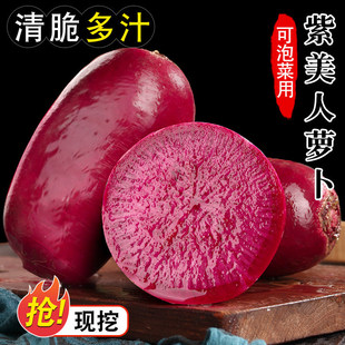 �P��ˮ���}�������˱����ˮ���}�����ˬ�ڱ�������������֬�}��