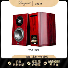凯音斯巴克Cayin T30MK2 音箱HIFI音箱音响发烧书架音箱