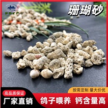 ɺ��ɰ3-5cm����ι�B����ɰɺ�����~�׵�ɰ�����eɺ��ɰˮ���^�V