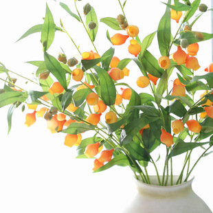 ���滨���\���ٻ��m���ٺϻ� �Ҿ��b�c���÷�����{��������