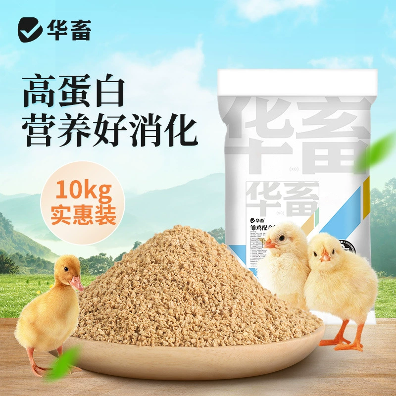 Китайская птенцы и птенцы корма измельченные гранулы