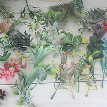 �S�����l��˪ˮ�� �¿�Ӽҷ���ֲ���b�Ʒ�[����c�����b���