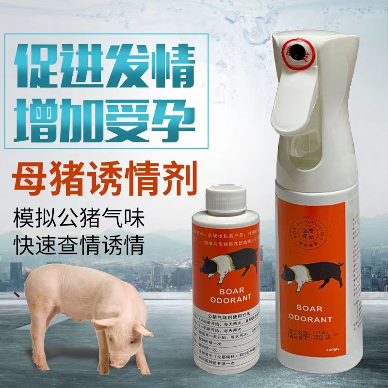 辅助公猪气味剂诱情剂 宁波二厂刺激母猪发情试情喷雾剂