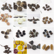 ɻɹ޻ɏdiyֹ֦̌W׃@Ĕzֲ