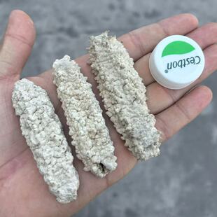 ���S��С�u�S���S�Ⅲ����ɺ�����؛������ζ���l20-30�^