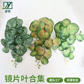 仿真绿植;仿真藤条;仿真花