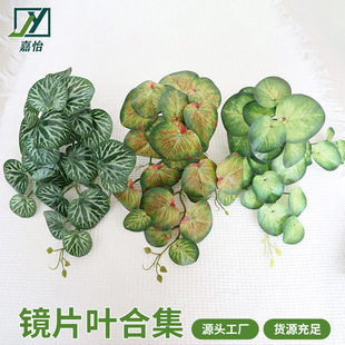 北欧壁挂绿植