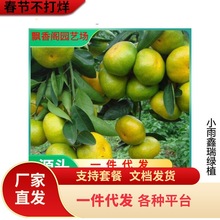 ��ۘ�������С����Ә��������������ʳ���ļ������҃������