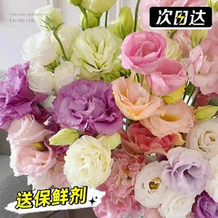 ϡ��ɫ��۹��r������҃�ˮ������r�л�����ϻ����r��ֱ�l���l